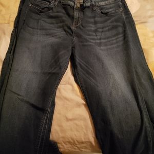 size 16w womens jeans: kut from the kluth